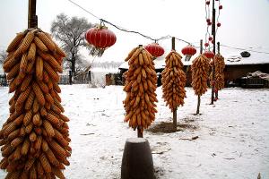 Jilin Rime Ice Snow Festival Corn